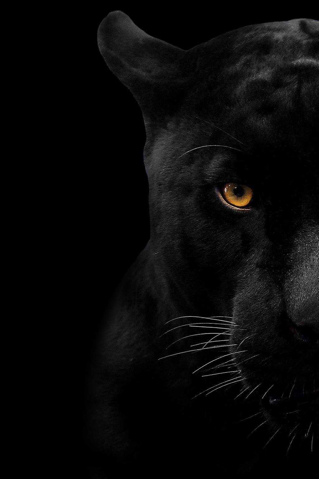 Midnight Panther Tempered Glass Wall Art — Dramatic Black Panther Close-Up