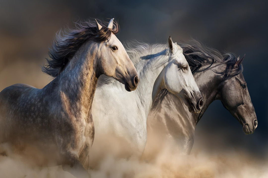 Galloping Trio Tempered Glass Wall Art — Running Horses