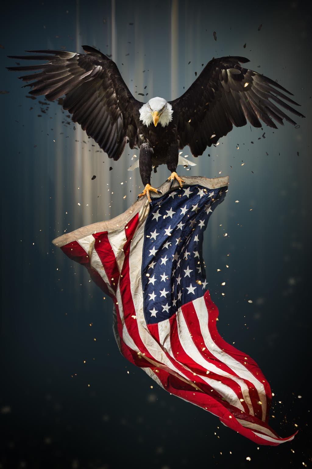 Patriotic Eagle Tempered Glass Wall Art — Bold American Flag